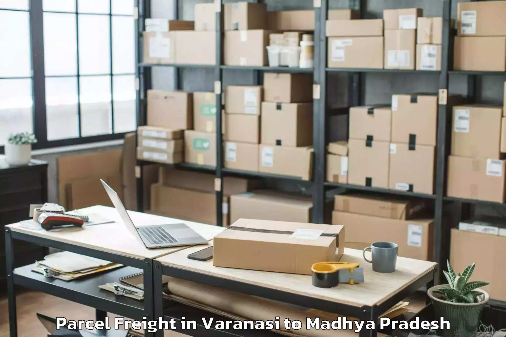 Reliable Varanasi to Shivpuri Parcel Freight